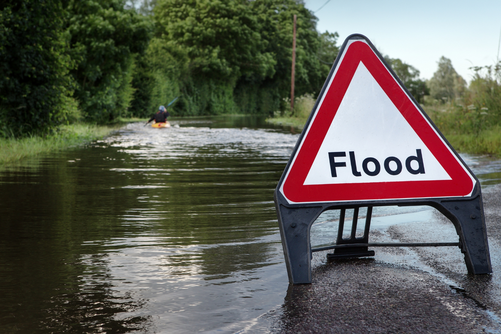 Climate Change, Flooding, Moisture, Mold, And Your Health