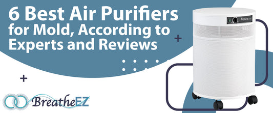 6 Best Air Purifiers for Mold, According to Experts and Reviews