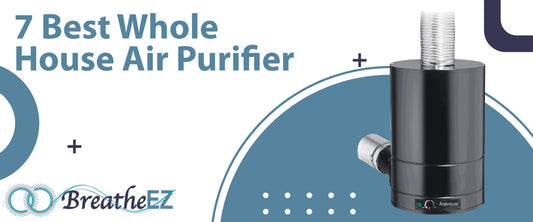 7 Best Whole House Air Purifier