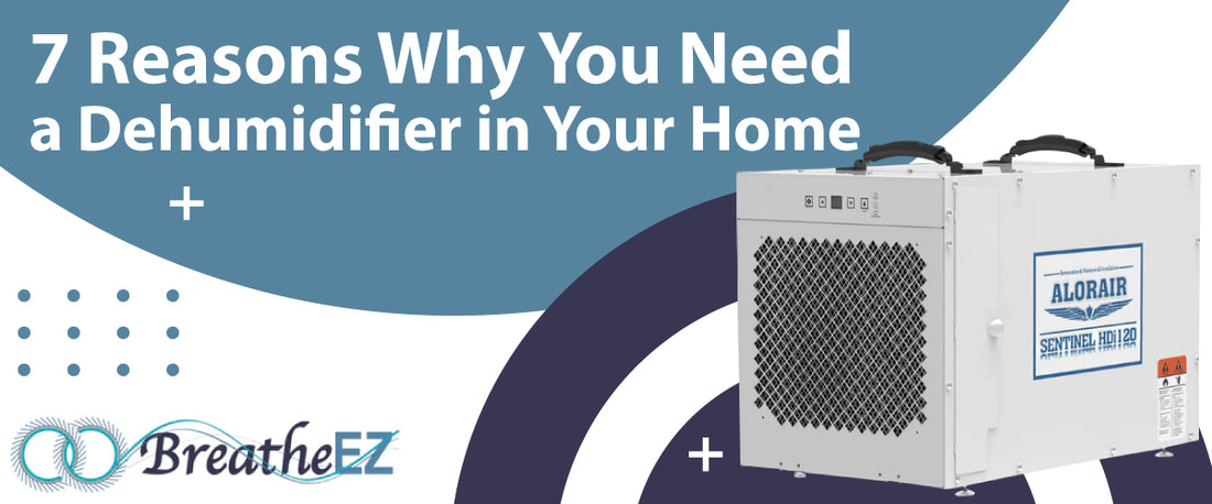 7 Reasons Why You Need a Dehumidifier in Your Home