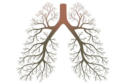 Country wide study highlights the dangers of air pollution