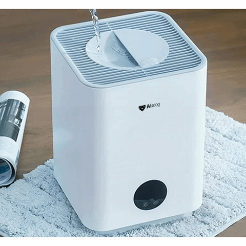 Airdog Humidifiers Airdog Evaporative Mist-Free Humidifier