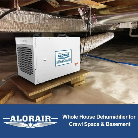 AlorAir Dehumidifier AlorAir Sentinel HDi100 Whole Home Dehumidifier 792332809511