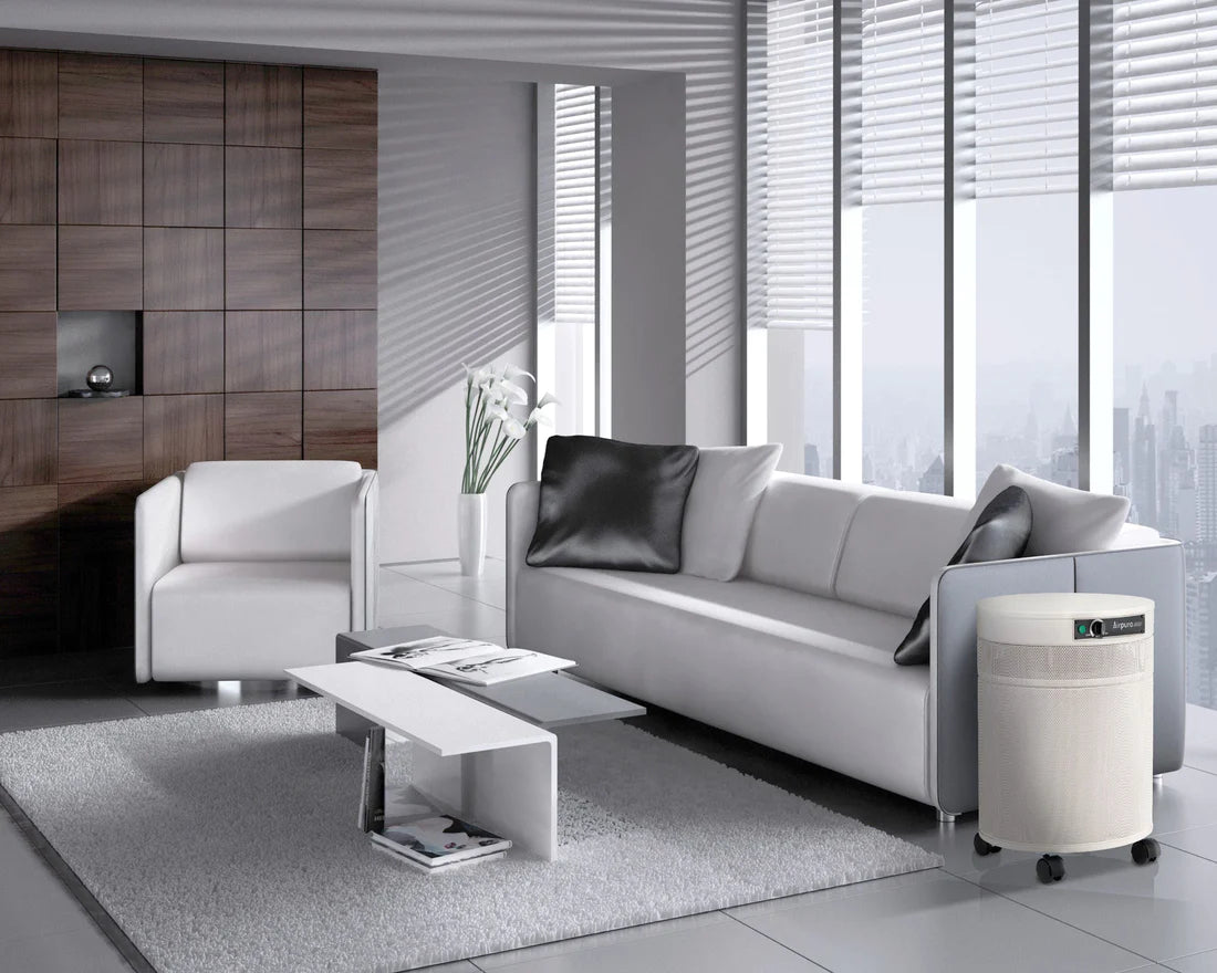 Light Slate Gray Airpura T700 - Tobacco Smoke Air Purifier